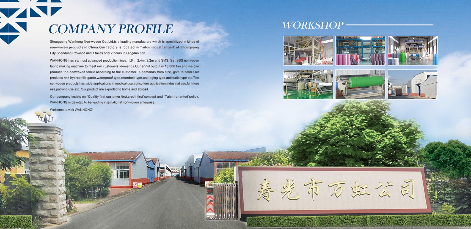 Shouguang Wanhong Nonwoven Co., Ltd.